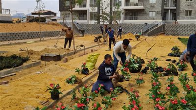 معدلات تنفيذ مشروع جنة مصر في الشيخ زايد 