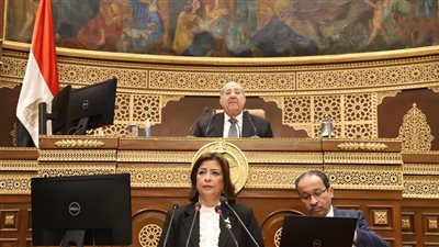 يتضمن قطع المرافق عن المخالفين.. إحالة تعديل قانون العقوبات للجان المختصة بالشيوخ