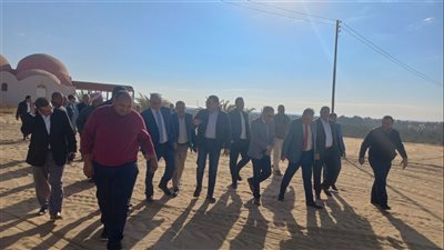 وفد زراعة النواب يتفقد مزارع النخيل في الوادي الجديد 