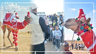 جمل بابا نويل يستقبل الزائرين بالهرم احتفالا بالكريسماس (فيديو)