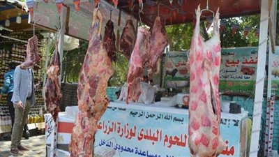 الزراعة تطرح اللحوم البلدية بـ 280 جنيها للكيلو 