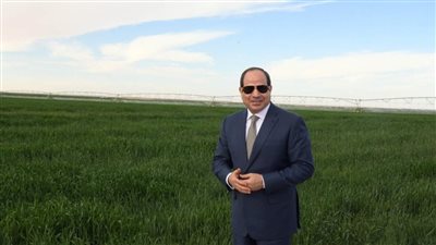 إنجازات الرئيس السيسي، تفاصيل استراتيجية ومحاور تحقيق الأمن الغذائي في 2022 