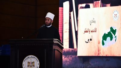 أسامة الأزهري: الإنسان المصري استطاع أن يبحر بسفينة الوطن لبر الأمان 