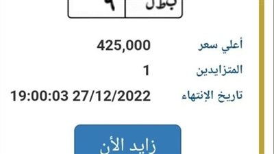 10 لوحات مميزة بسعر 425 ألف جنيه في مزاد علني 