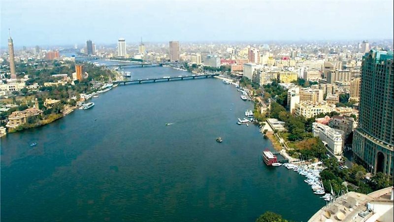 حالة الطقس غدا، فيتو