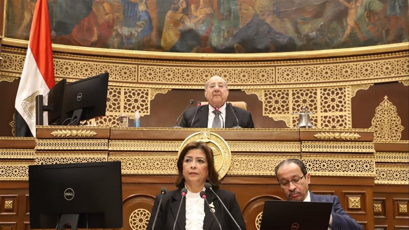 مجلس الشيوخ يقر صندوق