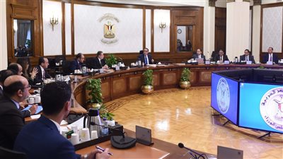 الحكومة: تجاوزنا أزمة نقص الدولار وسنقضي على ارتفاع أسعار البيض والدواجن (فيديو)