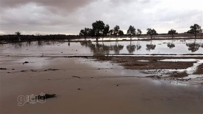 أمطار الخير بمطروح تُعيد الحياة لمزارع وآبار الصحراء.. وفرحة بين أهالي المحافظة (صور)