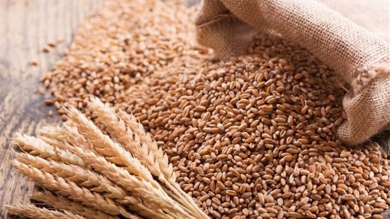 سعر أردب القمح ٢٠٢٣،