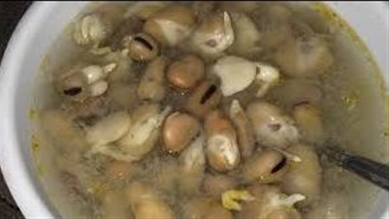 شوربة الفول النابت،