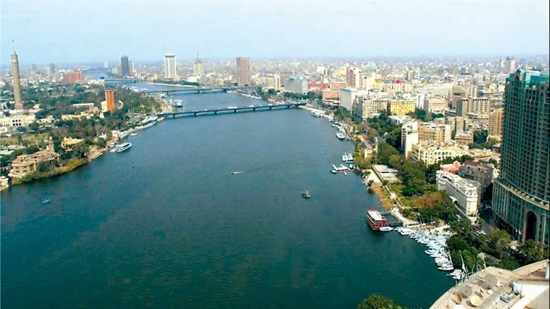 حالة الطقس غدا، فيتو