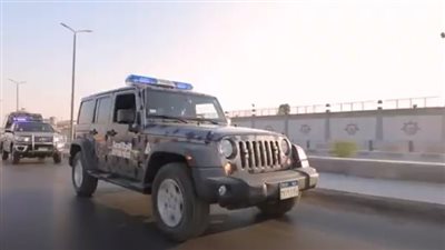 الأمن العام يضبط 575 عنصرا إجراميا و670 قطعة سلاح نارى 