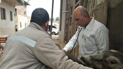 الكشف على 2450 طائرا وماشية بقافلة جامعة الزقازيق البيطرية