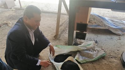 البحوث الزراعية ينجح في تصميم وحدة لإنتاج الكربون النشط من مخلفات أشجار الزيتون