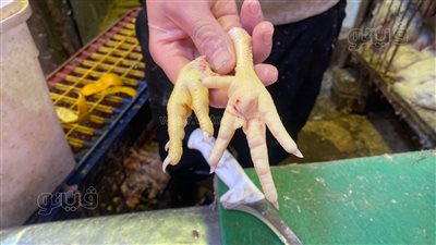  بورصة الدواجن،١٠ جنيهات سعر أرجل الفراخ 