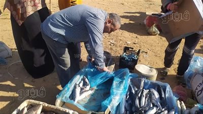 غلق وتشميع 16 منشأة غذائية مخالفة في الشرقية (صور) 