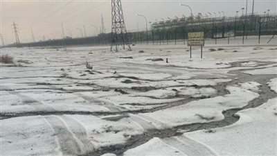 الكويت تكتسي بالأبيض وسكانها يوثقون لحظات تساقط الثلوج (فيديو)