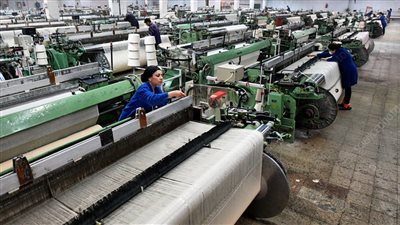 خبير اقتصادي: إلغاء مبادرة الـ ٨٪ يؤثر بشكل سلبى على الصناعة