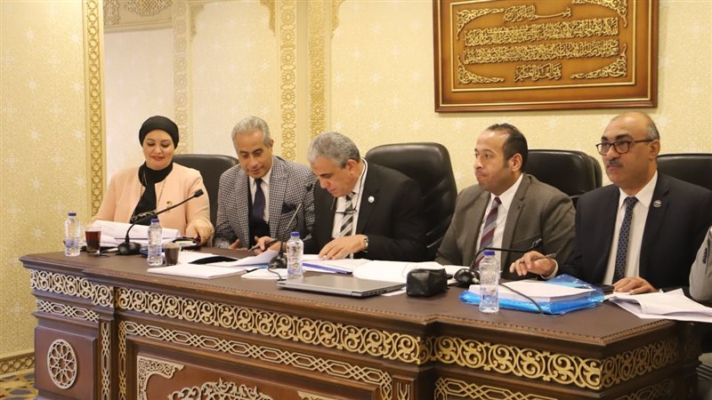 وزارة القوى العاملة،فيتو
