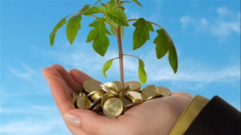 المشروعات الصغيرة