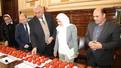 القصير يتابع إنتاج هجن الطماطم المصرية بالتعاون مع كبرى شركات التقاوي العالمية