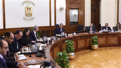 رئيس الوزراء: تدبير الخامات للمصانع بصورة مستمرة وتعزيز عملية تصنيعها محليا