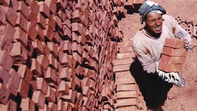 لحماية الرقعة الزراعية..مقترح بمنع تداول الطوب في الوادي والدلتا إلا برخصة البناء