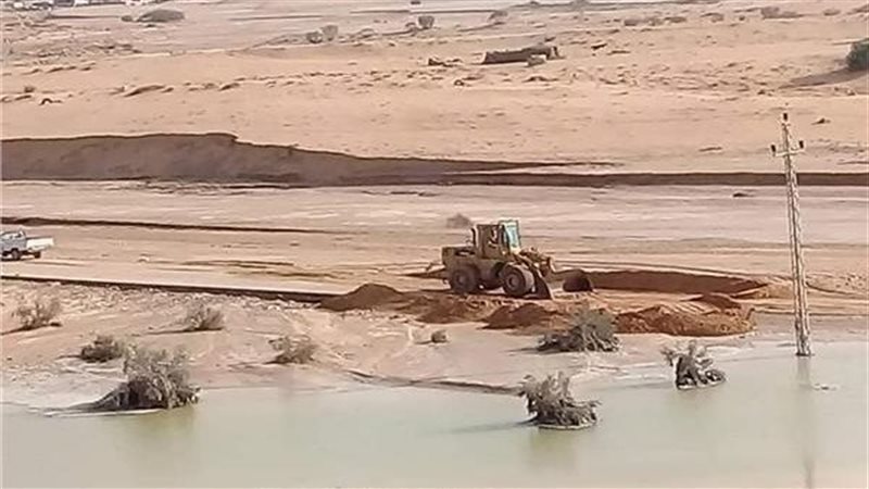 طقس شمال سيناء، فيتو