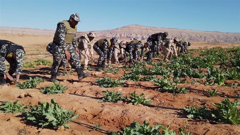 حملة مكبرة لحرس الحدود