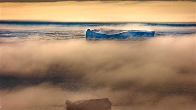 النعش العائم يرعب العالم، النشطاء: رسالة مخيفة والأرض تنتظر طوفان نوح