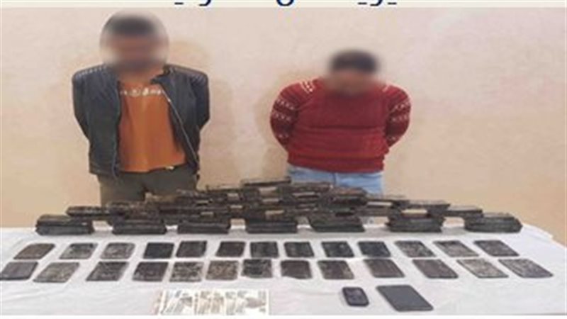 حملة امنية تضبط 12