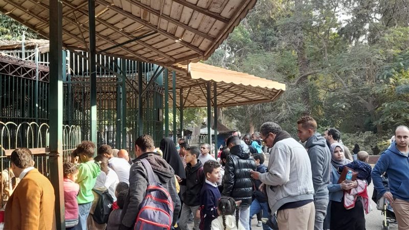 حديقة الحيوان، فيتو