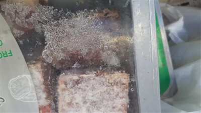 ضبط 200 كيلو دواجن ولحوم فاسدة في الأقصر (صور)