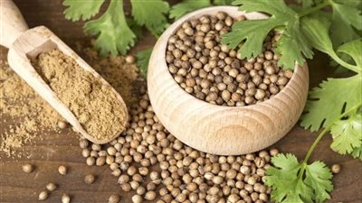 فوائد الكزبرة الناشفة، تعالج السالمونيلا وارتفاع الكوليسترول