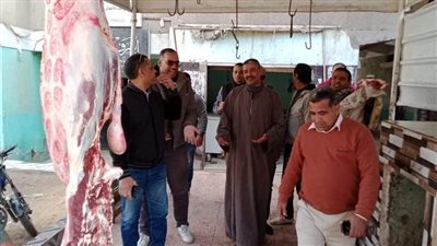 203 أطنان أرز وأطنان من اللحوم والدواجن الفاسدة وسلع مخبأة بمخازن المحتكرين.. حملات على الأسواق تحرر 1539 قضية تموينية