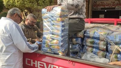 تموين دمياط يحرر 18 ألف محضر مخالفات خلال 2022