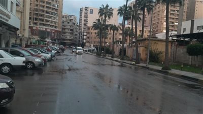 سقوط أمطار خفيفة على شرق الإسكندرية (صور)