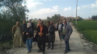 تركيب 203 عواميد إنارة بالمنصورة (صور)