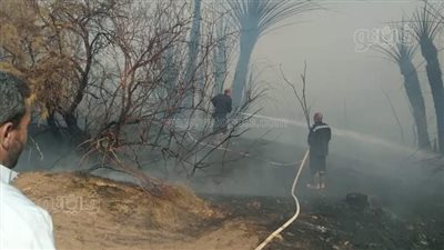 التفاصيل الكاملة في حريق الموشية بالوادي الجديد 