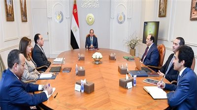 السيسي يتابع التغذية الكهربائية للمشروعات القومية ونشاط صندوق مصر السيادي (فيديو)