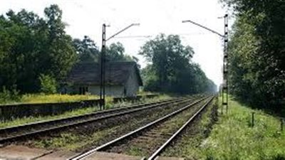 دفعت طفلة على قضبان القطار فجأة، فيديو يوثق جريمة بشعة