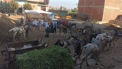 قافلة بيطرية مجانية بزفتى ضمن 