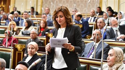 رغدة نجاتي تؤدي اليمين عضوا بمجلس النواب خلفا للراحلة ابتسام أبو رحاب