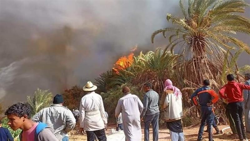 حريق بمزارع الوادي
