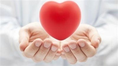 كل ما تريد معرفته عن آلية تنظيم ضربات القلب