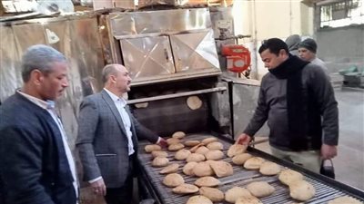 تحرير 42 محضرا خلال حملات رقابية وتفتيشية بمركز ملوي في المنيا