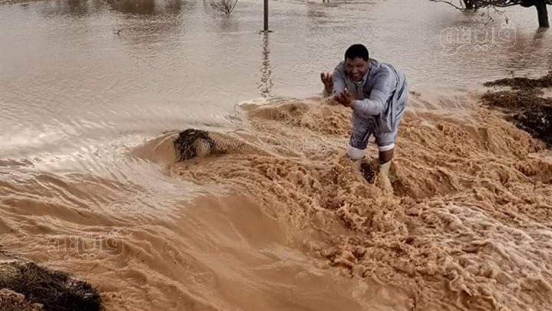 سيول الأمطار على
