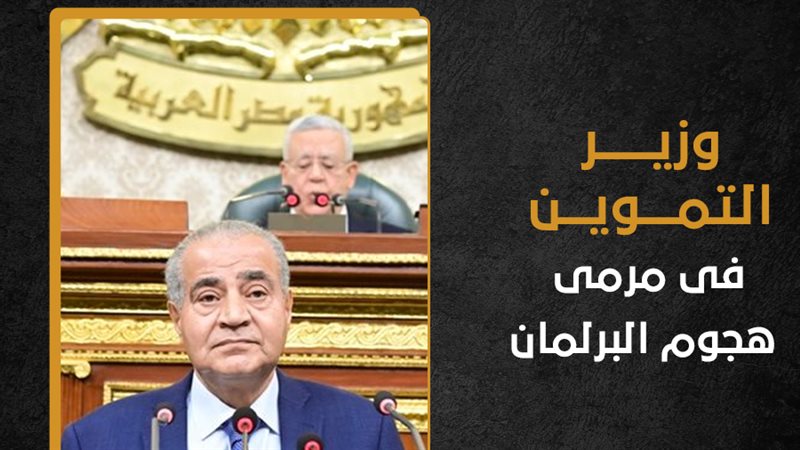 الدكتور على مصيلحى