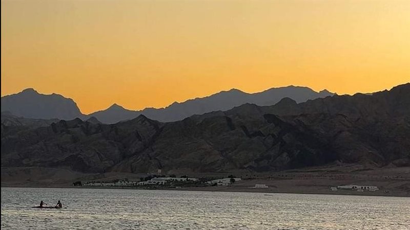 طقس جنوب سيناء، فيتو