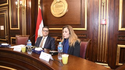 حقوق إنسان البرلمان توصي بإعداد قانون للأكاديمية الوطنية للتدريب